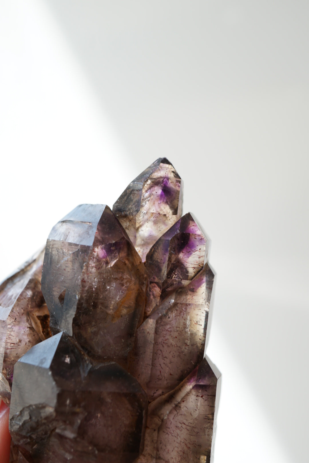 紫髮骨幹骸骨城堡超級七 - ART OF GEM 