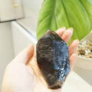 巴西鱷魚骨幹黑水晶 - ART OF GEM 