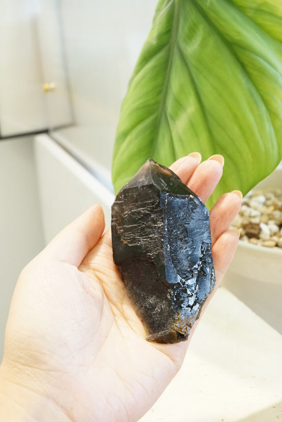 巴西鱷魚骨幹黑水晶 - ART OF GEM 