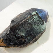 巴西鱷魚骨幹黑水晶 - ART OF GEM 