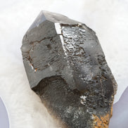 巴西鱷魚骨幹黑水晶 - ART OF GEM 