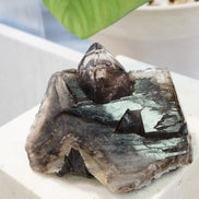 巴西鱷魚骨幹黑水晶 - ART OF GEM 