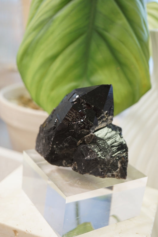 巴西亮面雙生黑水晶 - ART OF GEM