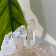 喜馬拉雅白水晶簇 - ART OF GEM 