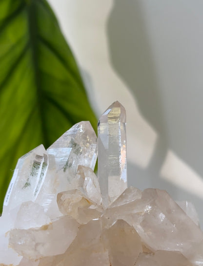 喜馬拉雅白水晶簇 - ART OF GEM 