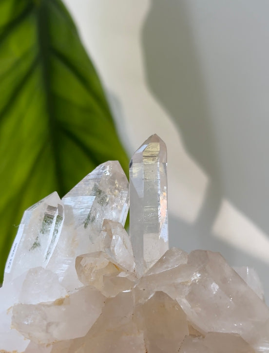 喜馬拉雅白水晶簇 - ART OF GEM 