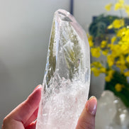 巴西雷姆尼亞種子白水晶 - ART OF GEM 