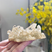 黃金印度喜馬拉雅白水晶簇 - ART OF GEM 