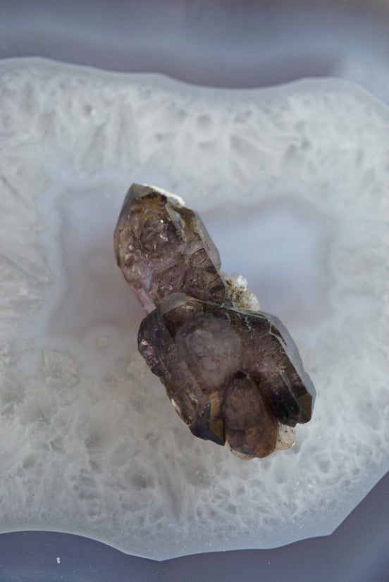 紫髮骨幹超級七 - ART OF GEM 