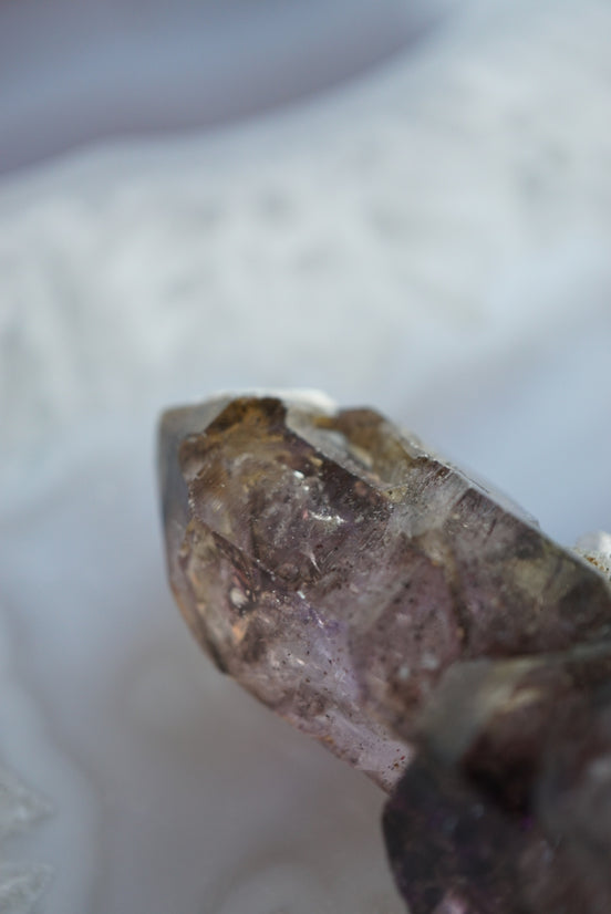 紫髮骨幹超級七 - ART OF GEM 