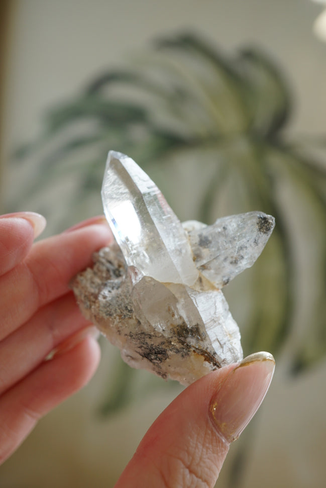 尼泊爾喜馬拉雅雙生白水晶 - ART OF GEM 