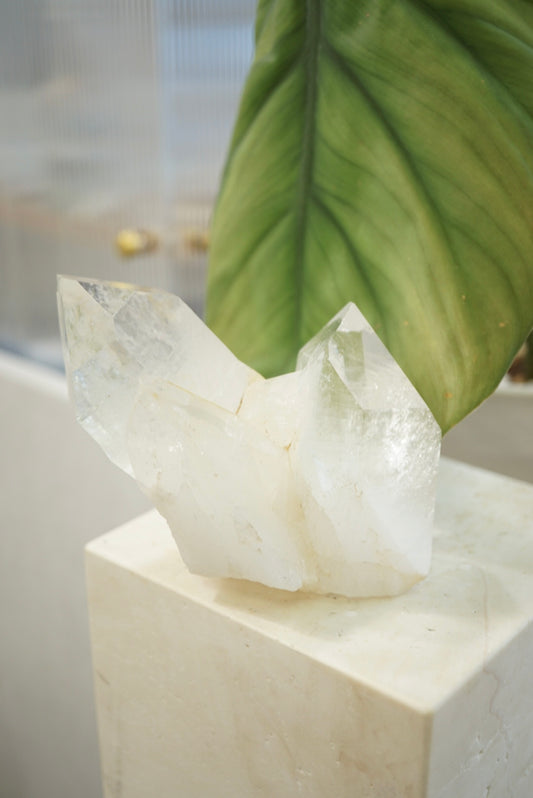 印度喜馬拉雅雙生白水晶簇 - ART OF GEM