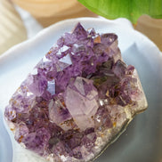 稀有巴西深紫紫鈦晶簇 - ART OF GEM 