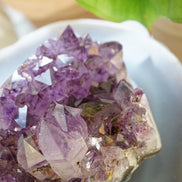 稀有巴西深紫紫鈦晶簇 - ART OF GEM 