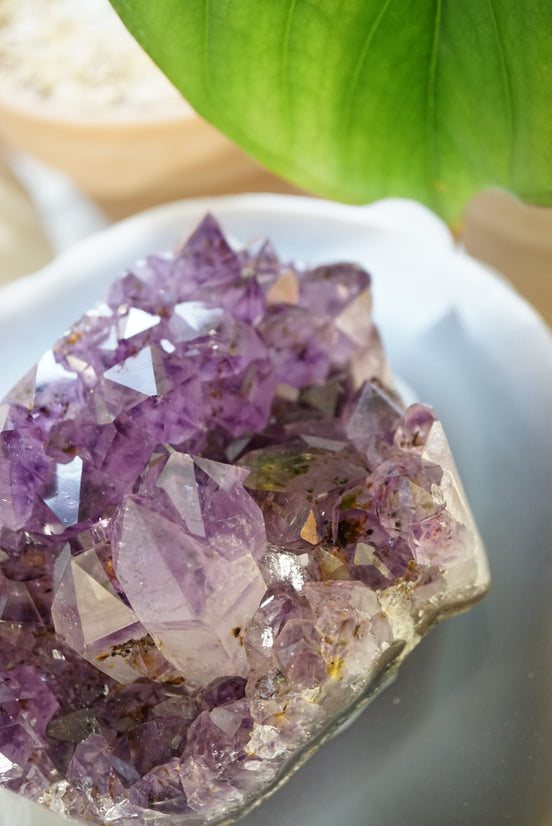 稀有巴西深紫紫鈦晶簇 - ART OF GEM 