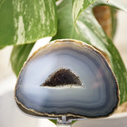 巴西藍紋瑪瑙聚寶盆 - ART OF GEM 