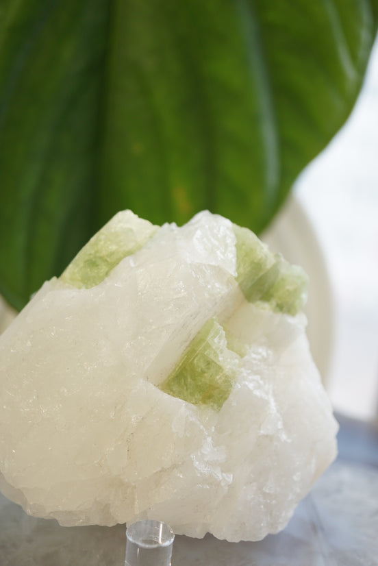 巴西綠碧璽原石 - ART OF GEM 