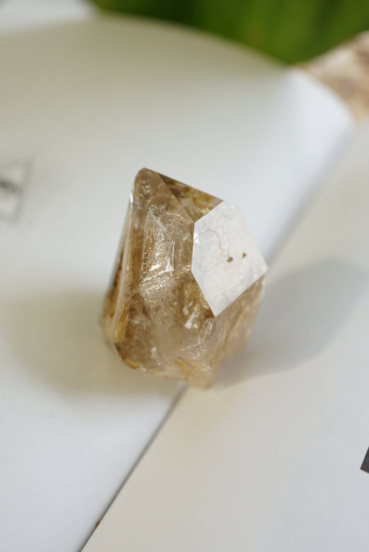 巴基斯坦黃泥骸骨水晶 - ART OF GEM