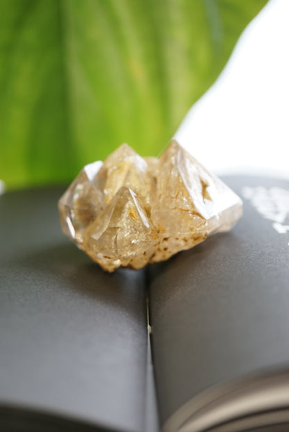 巴基斯坦黃泥骸骨水晶 - ART OF GEM 