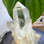 收藏級印度喜馬拉雅白水晶簇 （共生黑髮晶） - ART OF GEM 