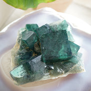 馬達加斯加日光綠螢石原石 - ART OF GEM 