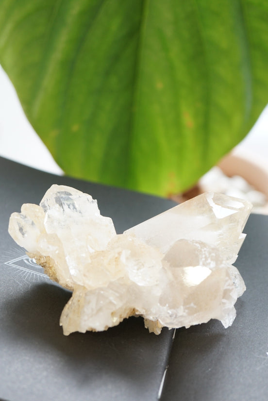 印度喜馬拉雅白水晶簇 - ART OF GEM 