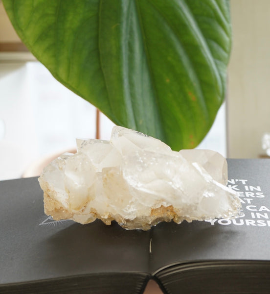 印度喜馬拉雅白水晶簇 - ART OF GEM 