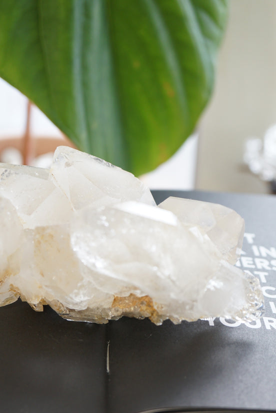 印度喜馬拉雅白水晶簇 - ART OF GEM 