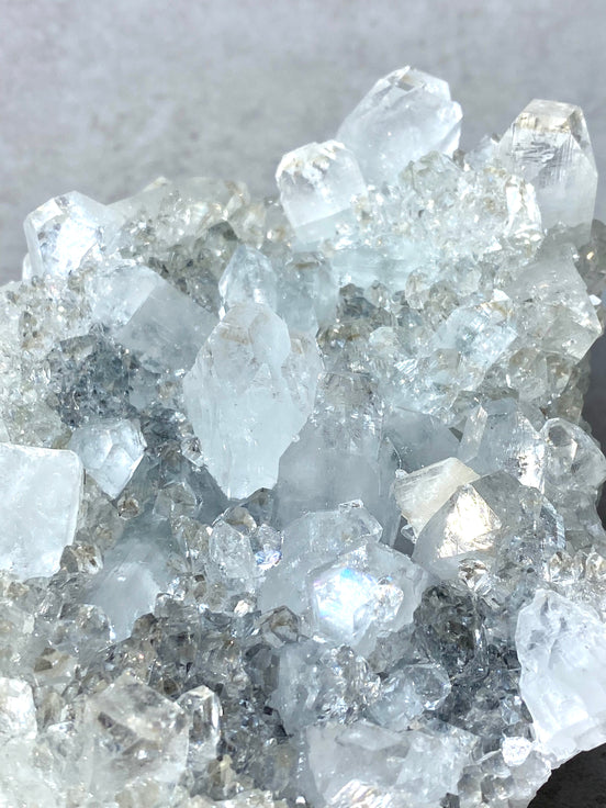 優質印度鑽石大牙魚眼晶簇 - ART OF GEM 