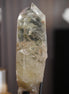 巴西綠幽靈 - ART OF GEM 