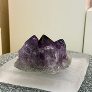 Brazilian Amethyst Cluster