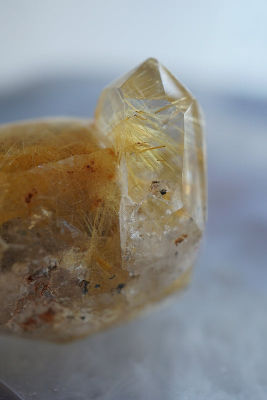 巴西金鈦晶 Golden Rutiled Quartz