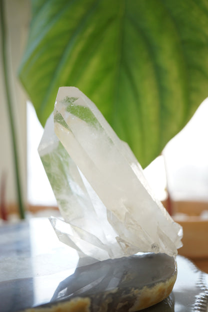 巴西白水晶簇 Brazil White Quartz Cluster - ART OF GEM 