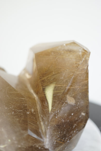 巴西雙生密髮金髮晶簇 Golden Rutiled Quartz Cluster - ART OF GEM 