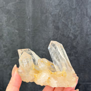 Golden India Himalayan White Quartz Cluster