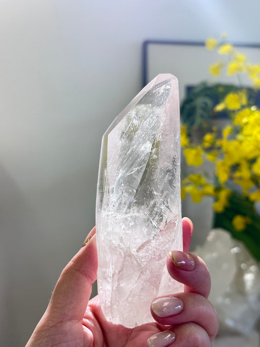 巴西雷姆尼亞種子白水晶 Lemurian Seed Crystal