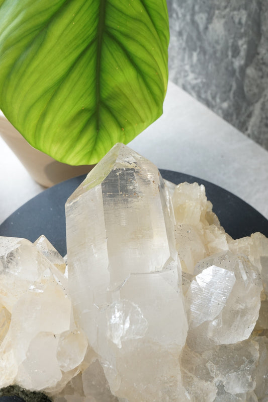 收藏級印度喜馬拉雅白水晶簇共生綠幽靈 India Himalayan White Quartz with green phantom