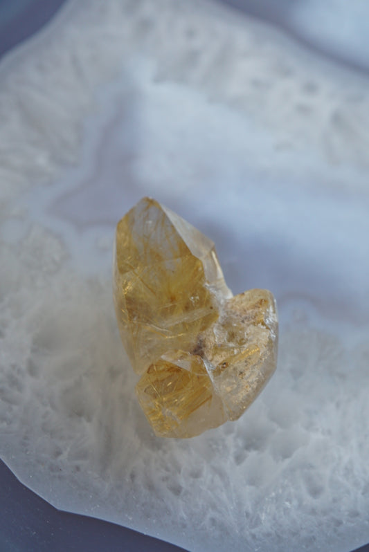 巴西金鈦晶 Golden Rutiled Quartz