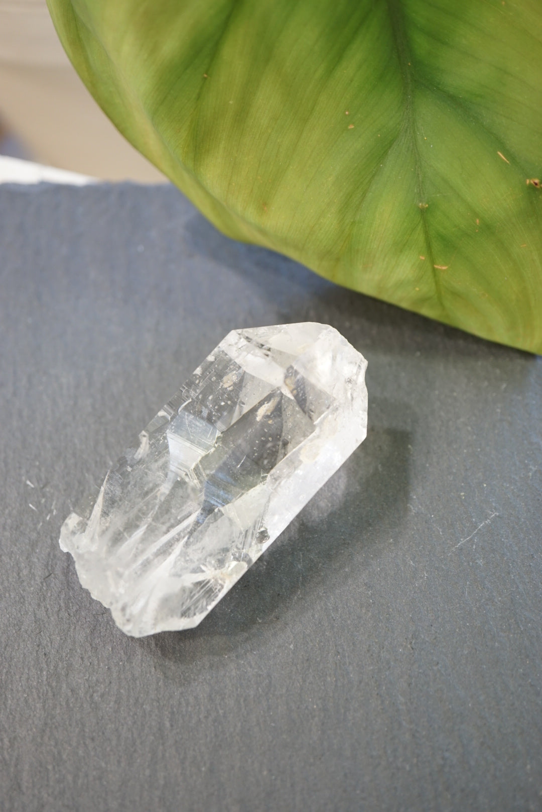 印度喜馬拉雅白水晶 India Himalayan White Quartz