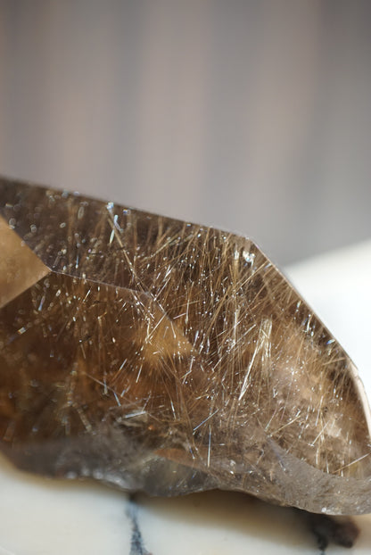 巴西密髮金髮晶 Golden Rutiled Quartz - ART OF GEM 