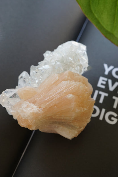 Top quality 印度鑽石魚眼晶簇共生沸石 Raw India Diamond Apophyllite with stilbite - ART OF GEM 
