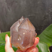 收藏級煙花黑超七