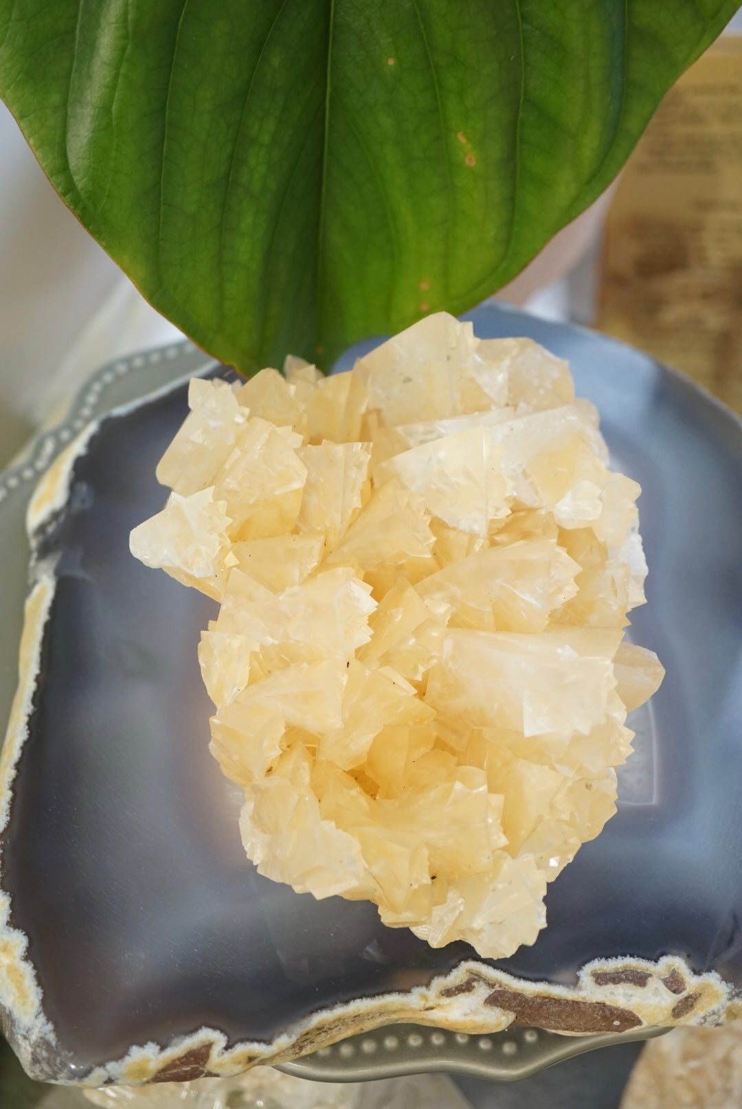 黃方解石晶簇 Honey Calcite Cluster