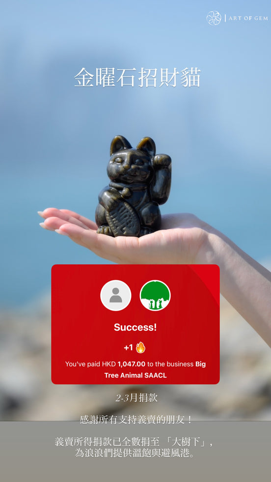 【Charity Sale ♻️】Crystal Fortune Cat (Random Items &amp; Half-Price Donation)