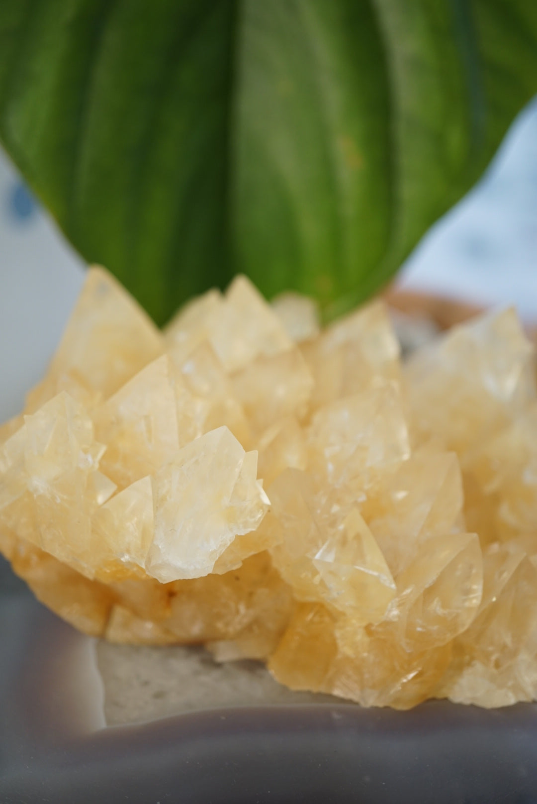 黃方解石晶簇 Honey Calcite Cluster