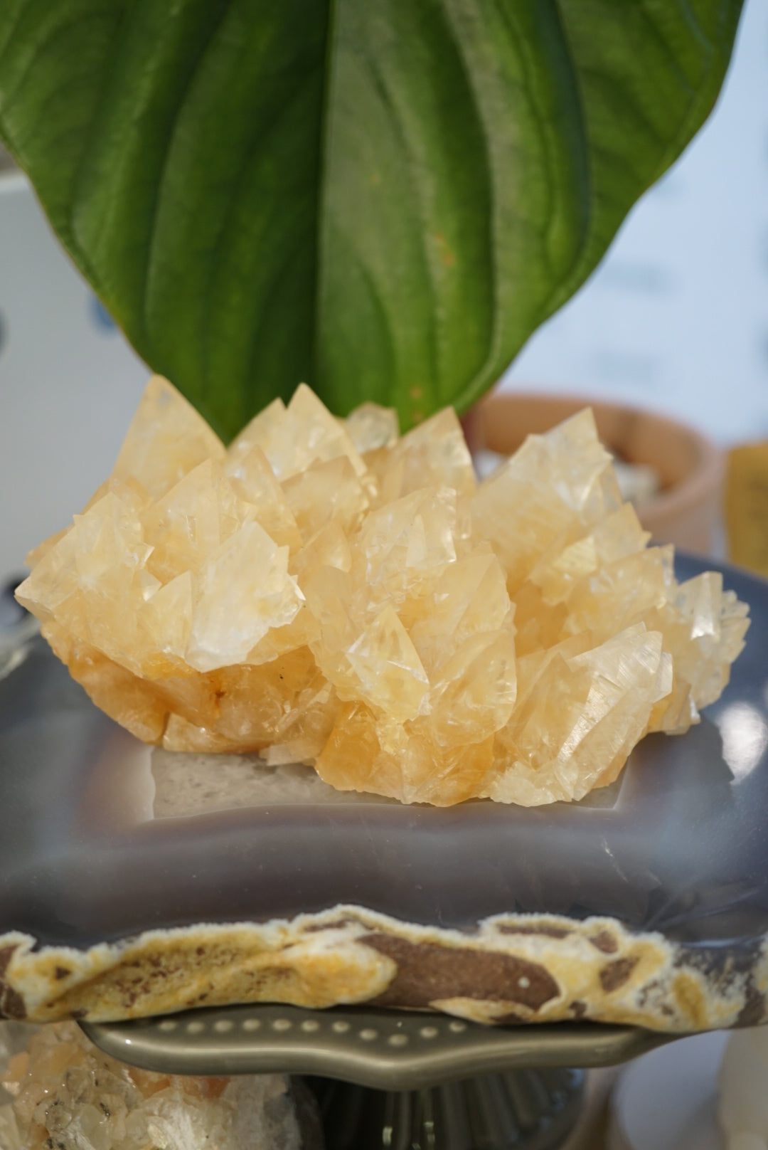 黃方解石晶簇 Honey Calcite Cluster