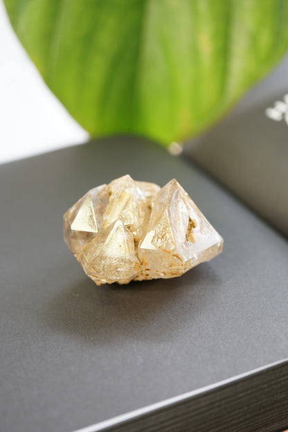 巴基斯坦黃泥骸骨水晶 Pakistan Fenster Quartz - ART OF GEM 