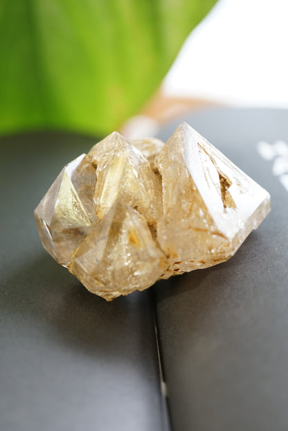 巴基斯坦黃泥骸骨水晶 Pakistan Fenster Quartz - ART OF GEM 