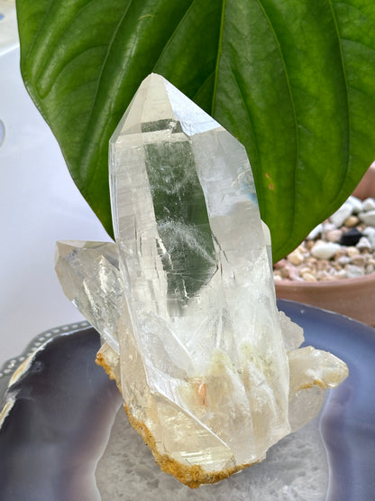 收藏級印度喜馬拉雅白水晶簇 （共生黑髮晶）𝑯𝒊𝒎𝒂𝒍𝒂𝒚𝒂𝒏 𝑾𝒉𝒊𝒕𝒆 𝑸𝒖𝒂𝒓𝒕𝒛 𝑪𝒍𝒖𝒔𝒕𝒆𝒓 - ART OF GEM 
