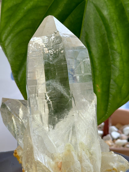 收藏級印度喜馬拉雅白水晶簇 （共生黑髮晶）𝑯𝒊𝒎𝒂𝒍𝒂𝒚𝒂𝒏 𝑾𝒉𝒊𝒕𝒆 𝑸𝒖𝒂𝒓𝒕𝒛 𝑪𝒍𝒖𝒔𝒕𝒆𝒓 - ART OF GEM 